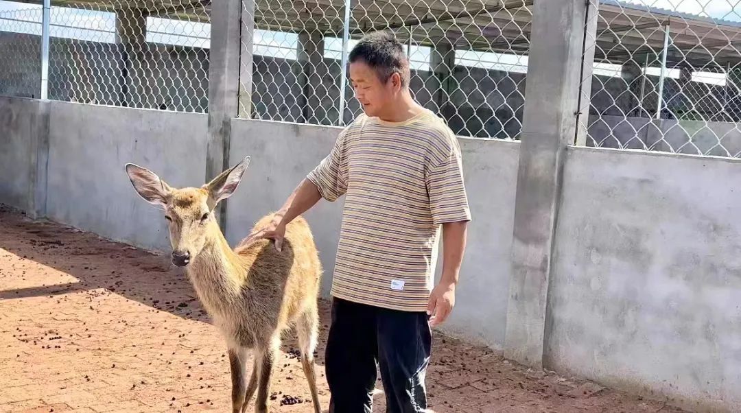 传奇电子跳高高